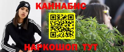 сатива Можга