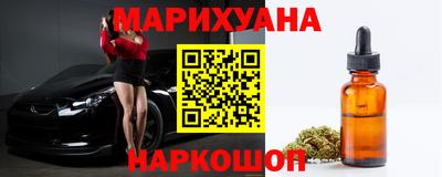сатива Можга
