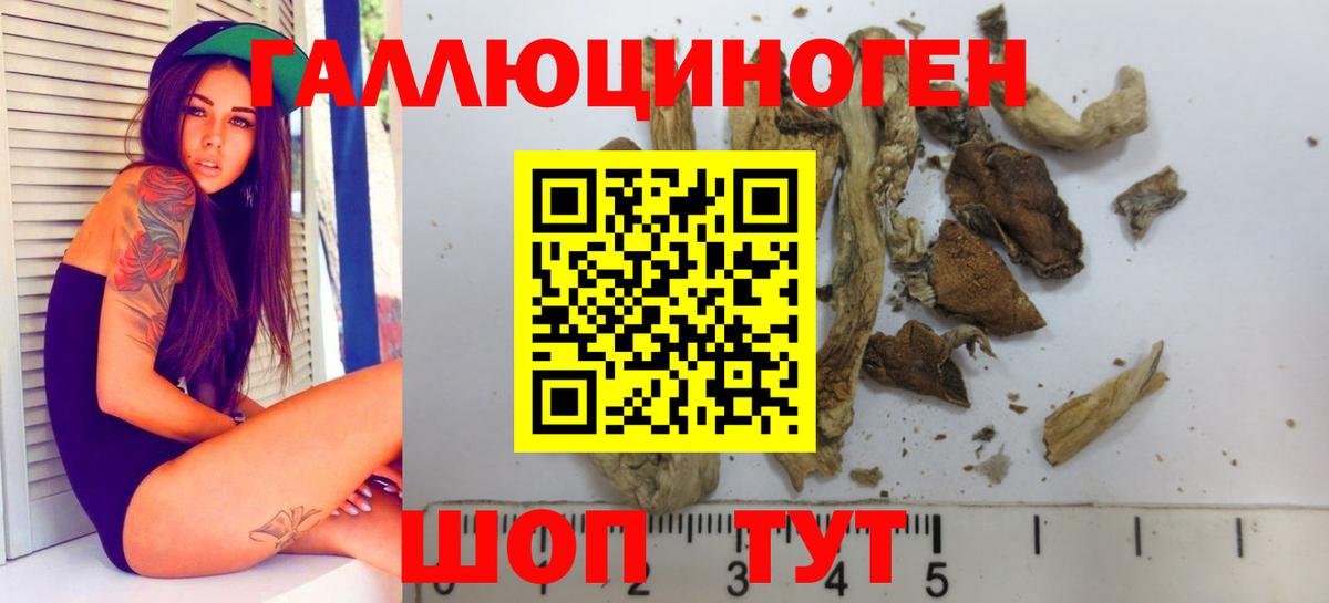 Псилоцибиновые грибы ЛСД  где купить наркоту  Псилоцибиновые грибы Psilocybe  Чайковский  Вход с VPN 